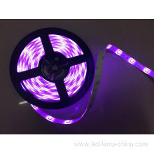 DC24V Waterproof Purple Flexible LED Strip